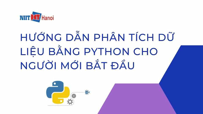 Hướng dẫn phân tích dữ liệu bằng Python cho người mới bắt đầu