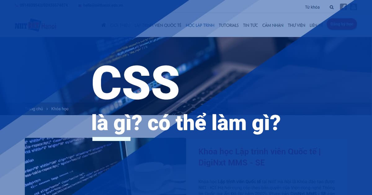 CSS là gì? CSS có thể làm những điều thú vị gì?