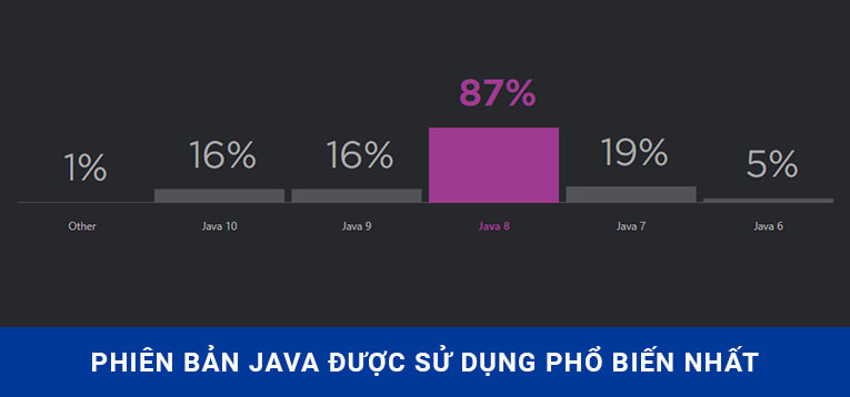 Java 8 là phiên bản được sử dụng nhiều nhất
