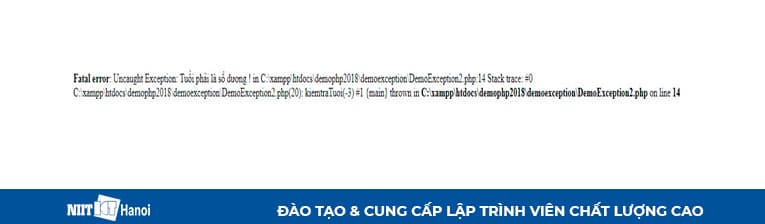 Chương trình ném ra một lỗi Fatal error xảy ra khi ta chưa xử lý ngoại lệ