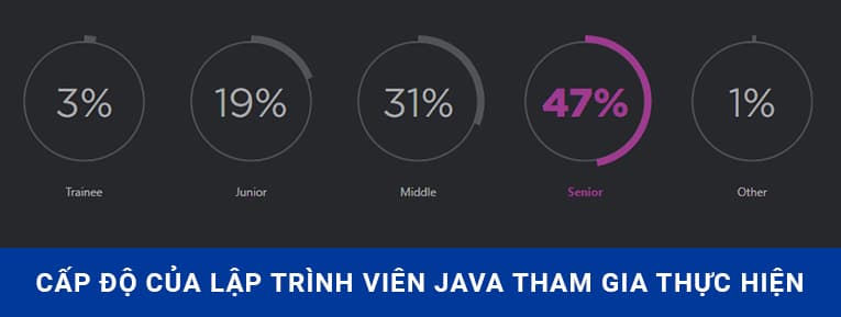 Cấp độ của lập trình viên Java tham gia nghiên cứu, khảo sát