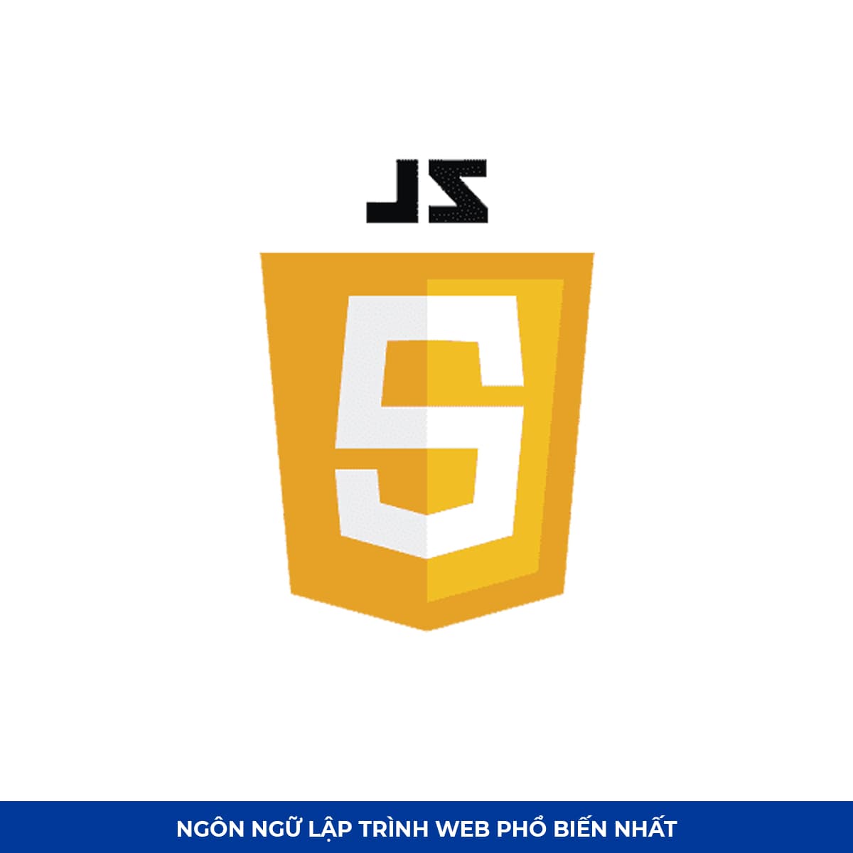 Top Ngôn ngữ lập trình web #1: JavaScript
