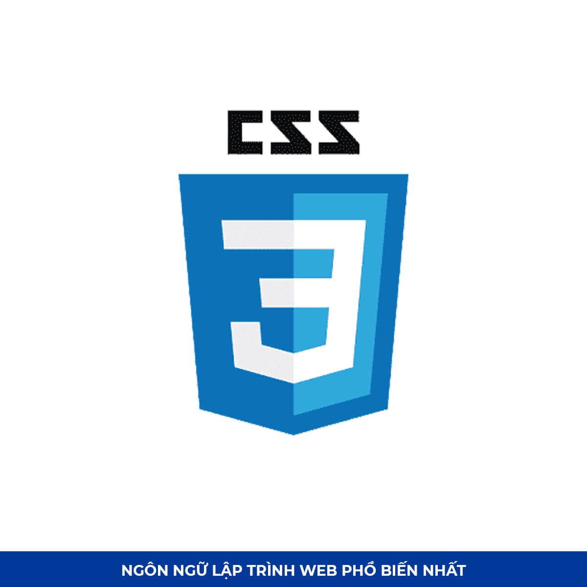 Top Ngôn ngữ lập trình web #10: CSS