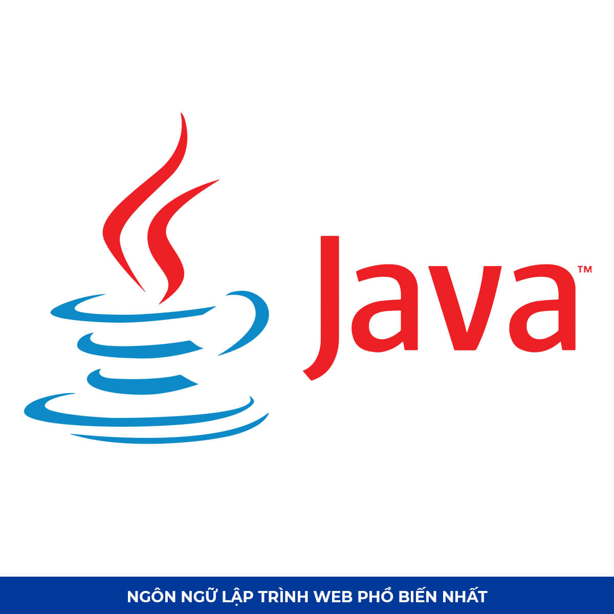 Top Ngôn ngữ lập trình web #2: Java
