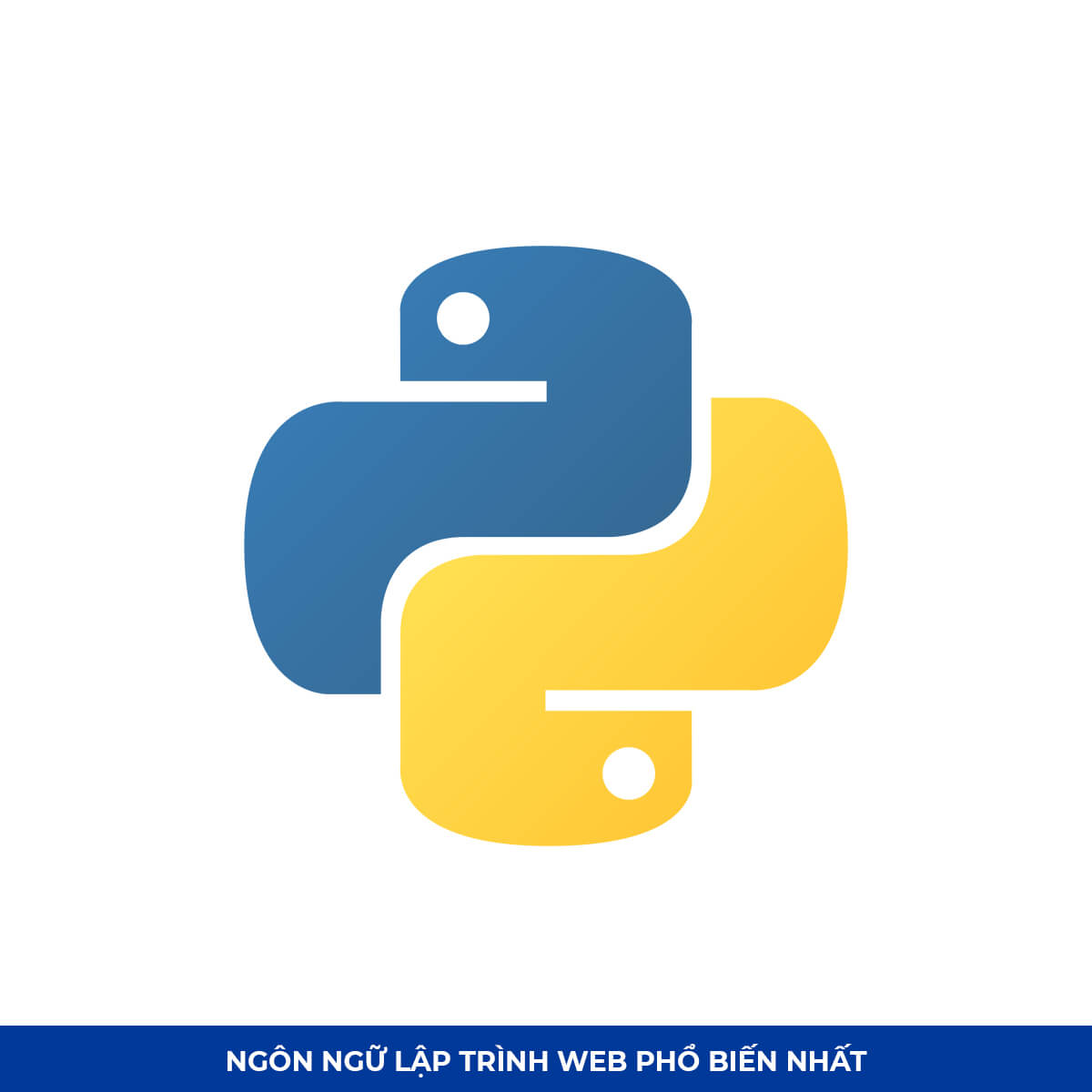 Top Ngôn ngữ lập trình web #3: Python