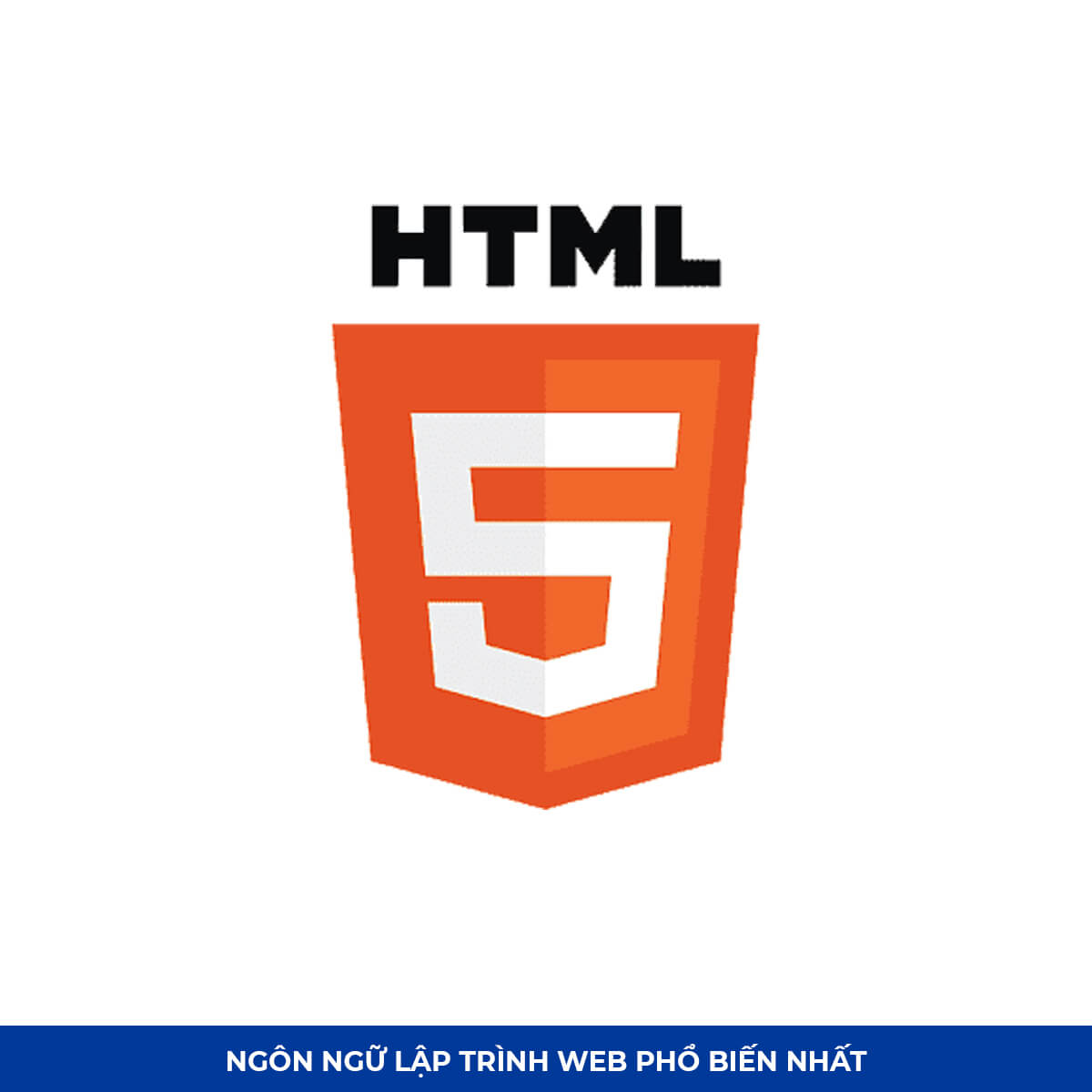 Top Ngôn ngữ lập trình web #8: HTML