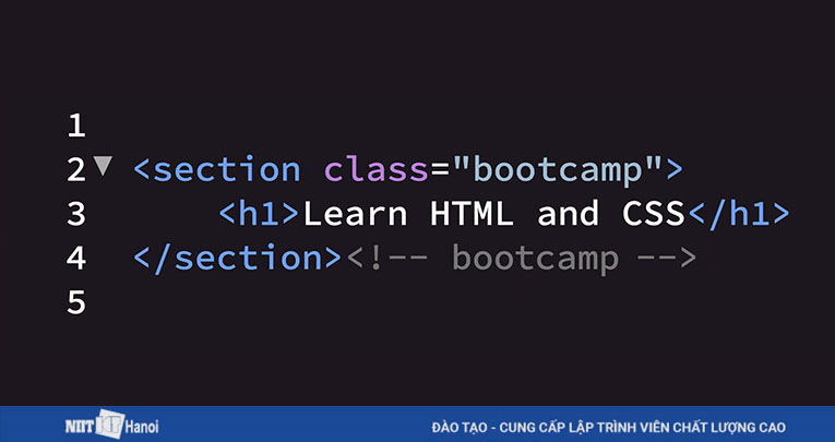 HTML kết hợp với ngôn ngữ Back End giúp bạn tạo ra các ứng dụng Web