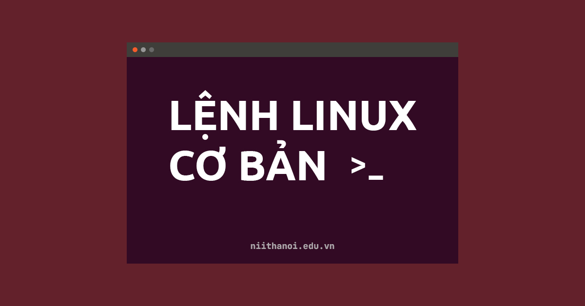 45 Lệnh Linux cơ bản cho Lập trình viên