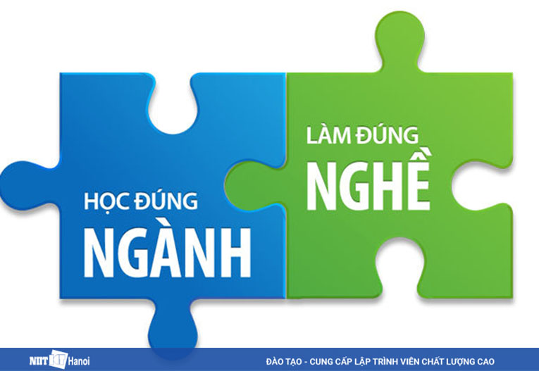 Bạn có thực sự phù hớp với ngành nghề lập trình không?