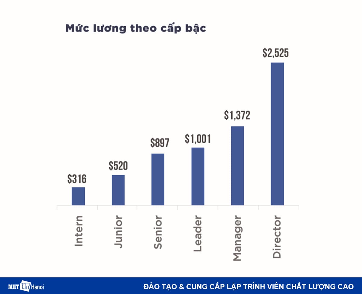 Lương lập trình viên theo cấp bậc