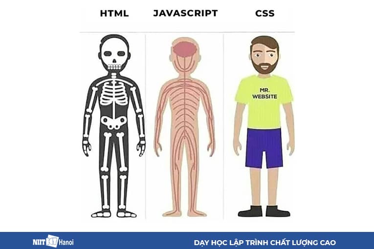 3 Thành phần tạo nên mọi trang web: HTML, CSS, JavaScript