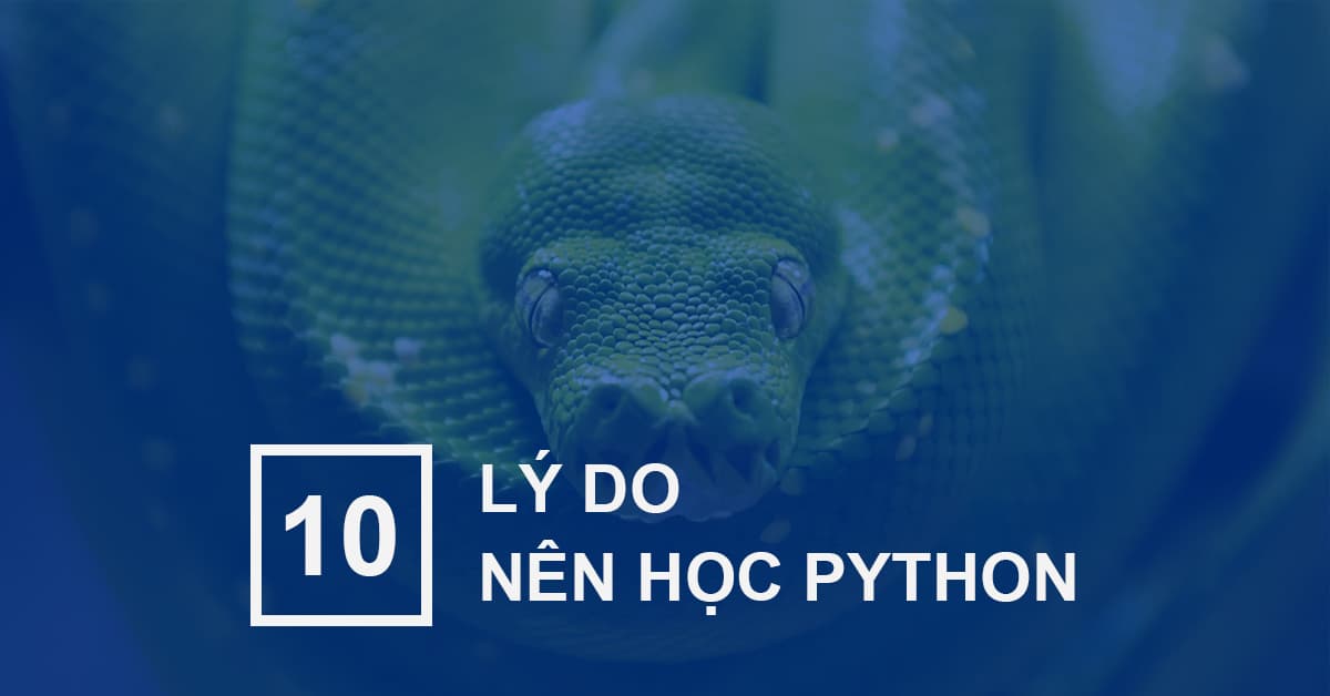 10 Lý do nên học Lập trình Python