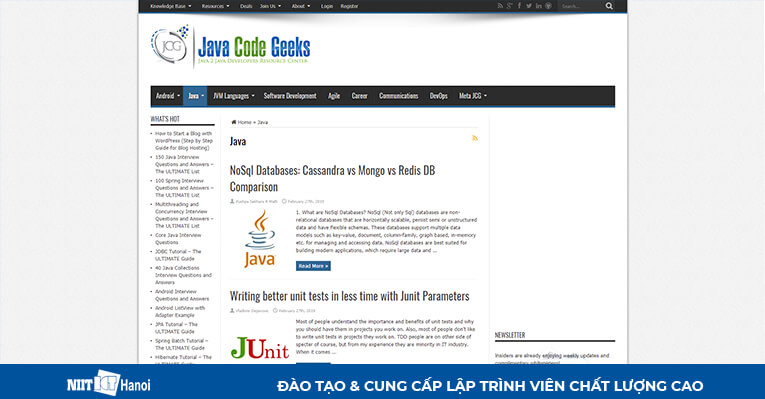 Trang web hướng dẫn lập trình Java: Java Code Geeks