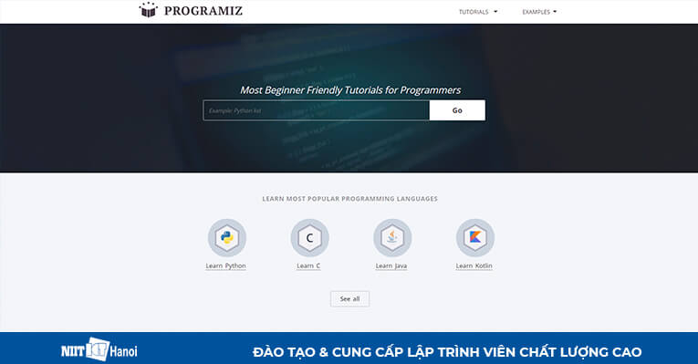 Trang web hướng dẫn lập trình Java: Programiz