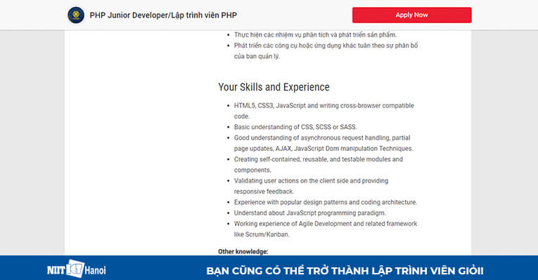 Yêu cầu kỹ năng, kinh nghiệm vị trí Junior PHP Developer