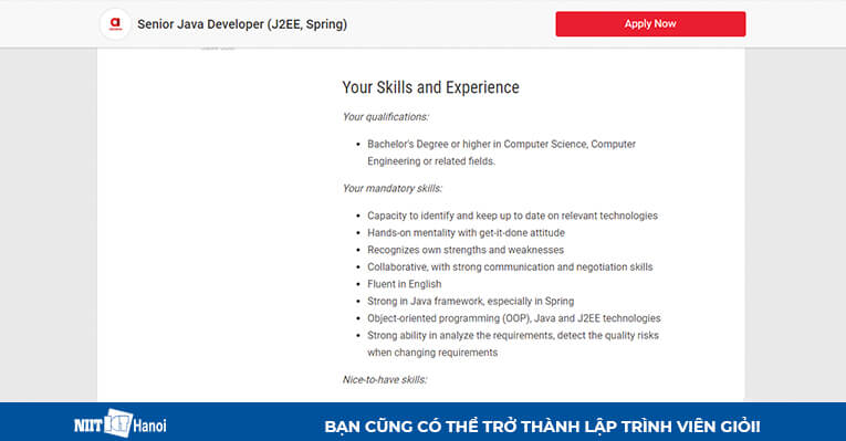 Yêu cầu kỹ năng, kinh nghiệm vị trí Senior Java Developer