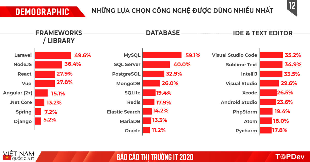 Báo cáo Toàn cảnh thị trường IT Việt Nam 2020 | TopDev Report (12)