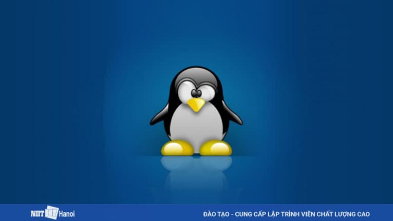 Hệ điều hành Linux được các Dev Front-end trên thế giới đánh giá cao