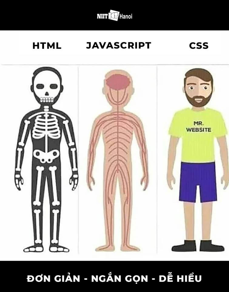 HTML, CSS, JAVASCRIPT là gì?