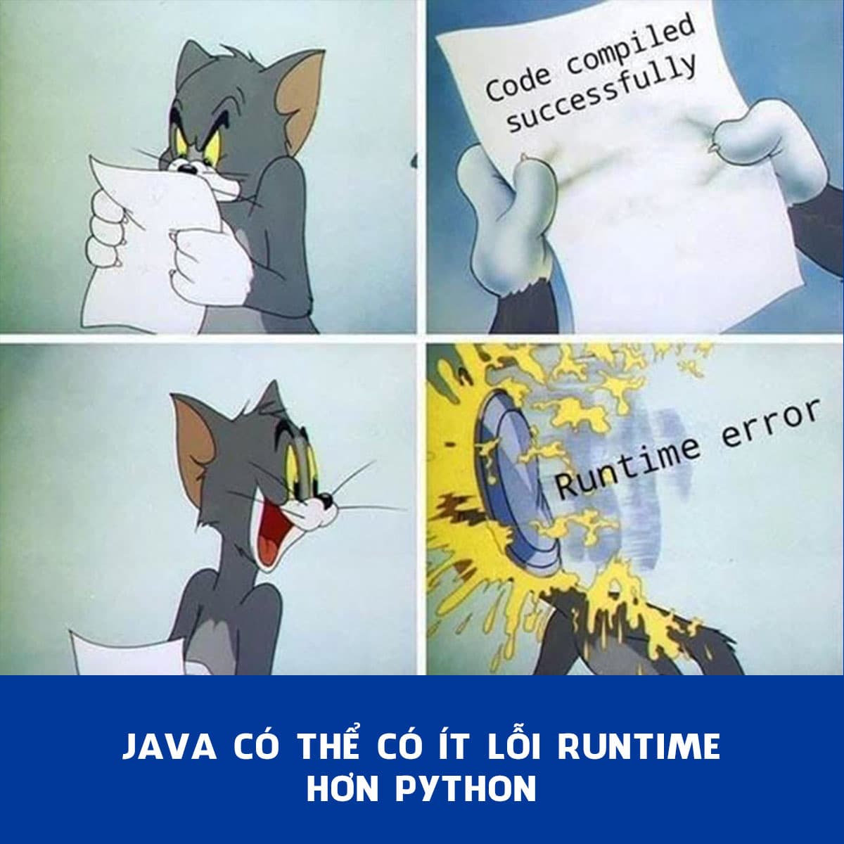 Java có thể có ít lỗi runtime hơn Python