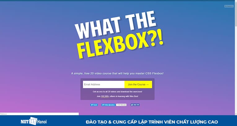 Những hướng dẫn CSS Flexbox tốt nhất: What the Flexbox