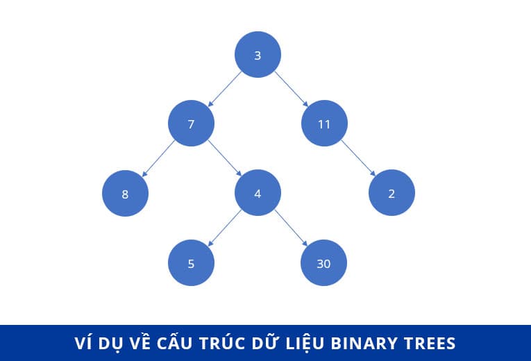 Cấu trúc dữ liệu Binary Trees
