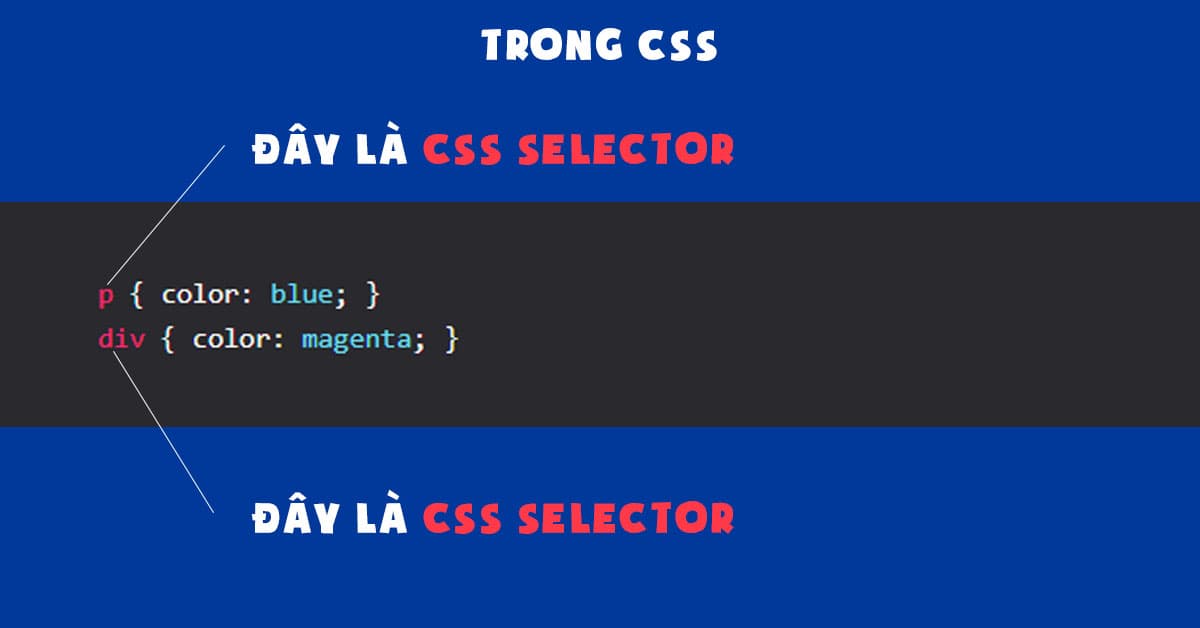 CSS Selector trong file CSS