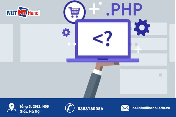 Trái ngành học PHP để chuyển sang lĩnh vực phát triển web