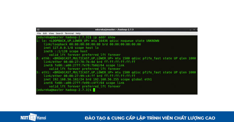 Cài đặt Multi Node Cluster trong Hadoop: Check IP máy chính