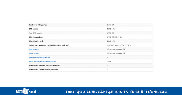 Cài đặt Multi Node Cluster trong Hadoop: Kết quả