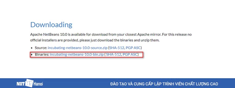 Tải xuống file Binaries từ trang Web NetBeans.Apache.org